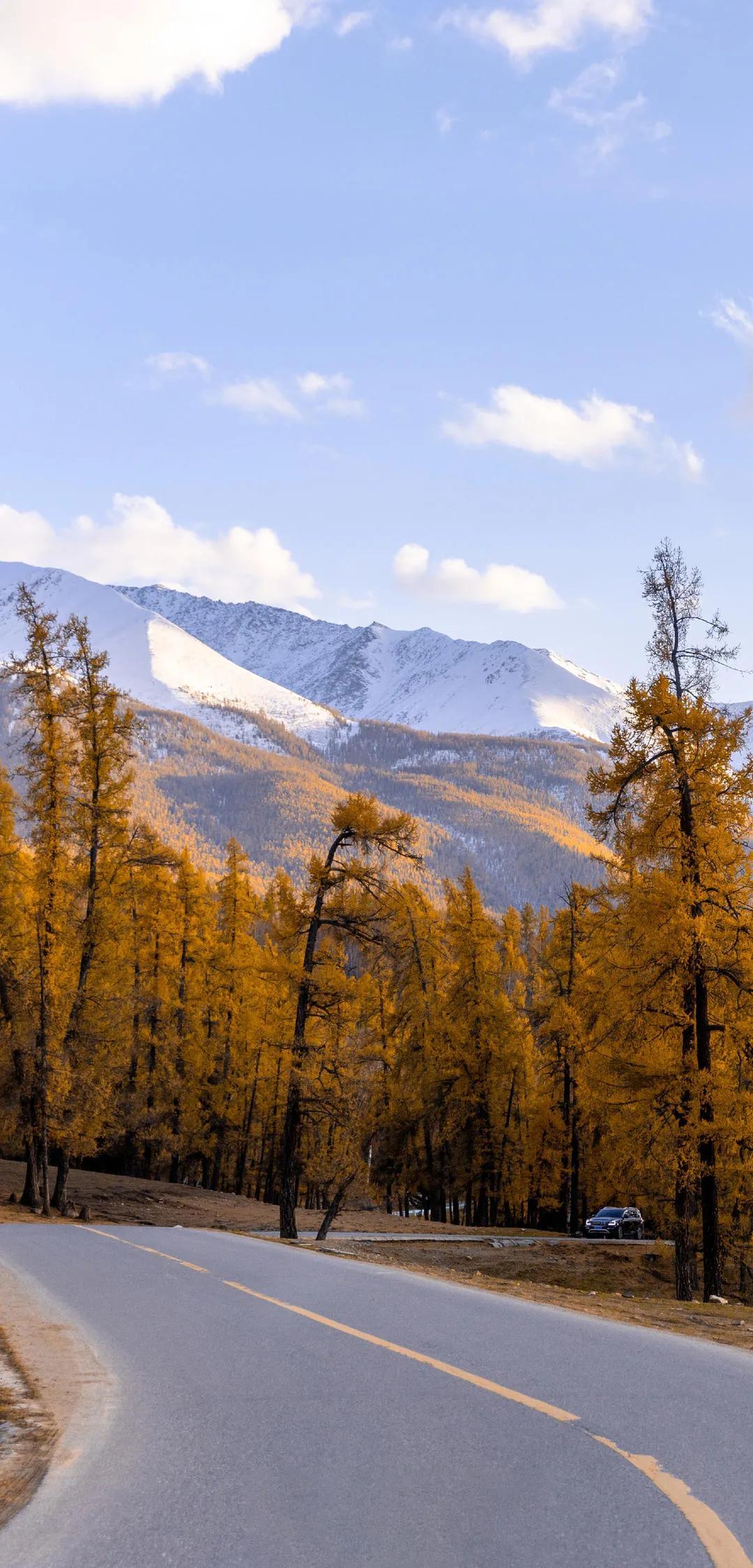 新疆，嘉賓云集，觀(guān)眾熱情如火