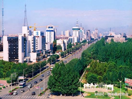 包頭，完成任務(wù)與學(xué)習技能的詳細步驟指南